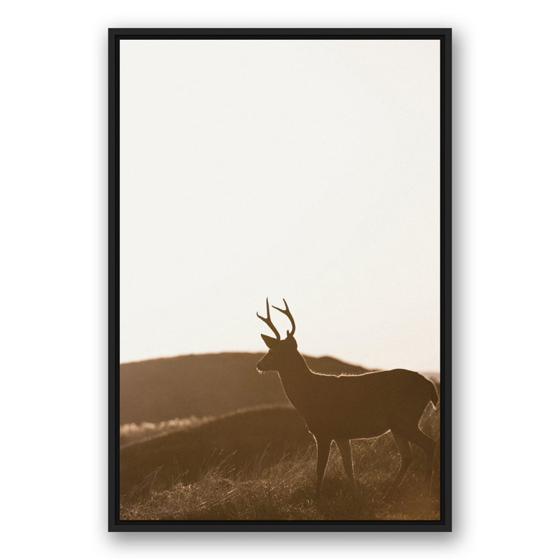 Morning Deer - imprimé, H 37,75 po x l 25,75 po x P 1,75 po, Cadre flottant noir