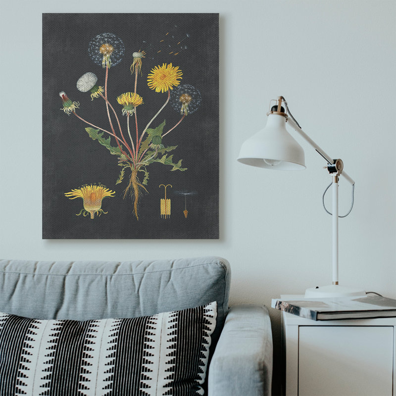 «Botanical Dessin Dandelion On Black Design», impression, Toile tendue, H 48 po x l 36 po