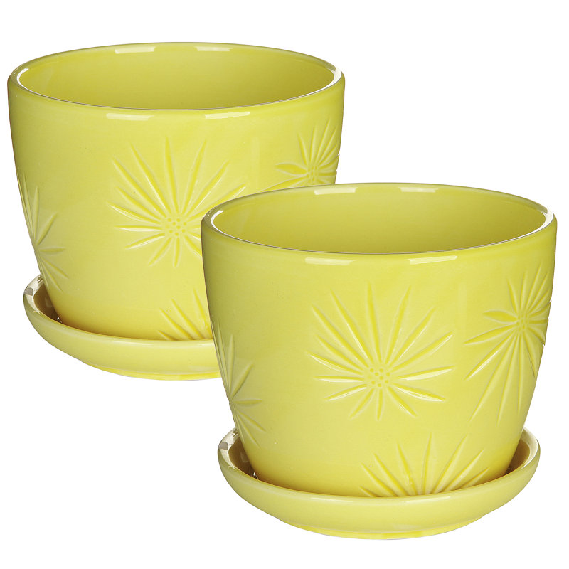 Ceramic Pot Planter