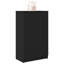 12 Pair Shoe Storage Cabinet