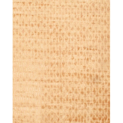 Ikat Area Rug in Tango