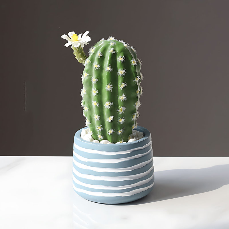 Cactus 9,45 po