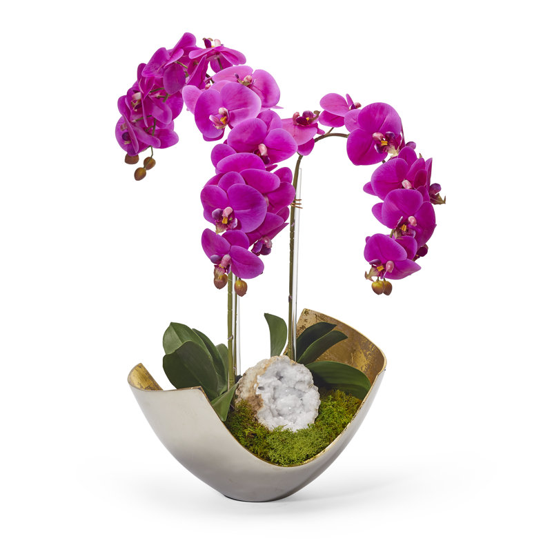 Orchids Floral Arrangement in Vase
