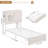 Upholstered Storage Standard Bed with LED Lights-375811286-376155821