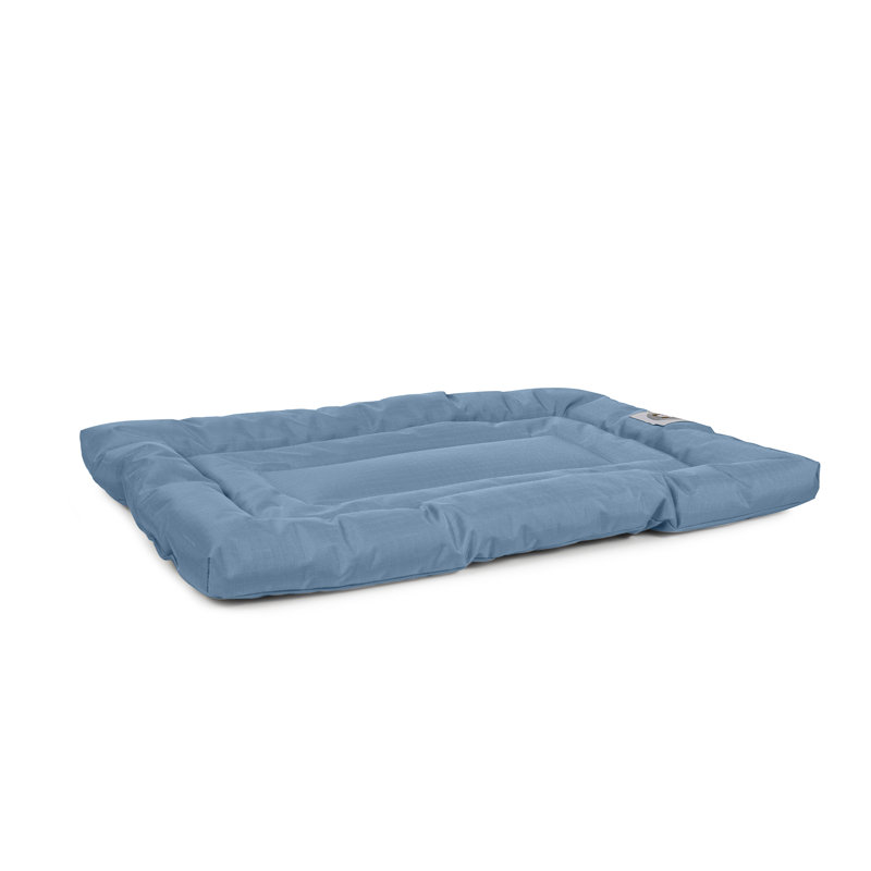 Coussin confortable Brutus Tough Resistant, Bleu, Moyen (l 36 po x P 23 po x H 2 po)