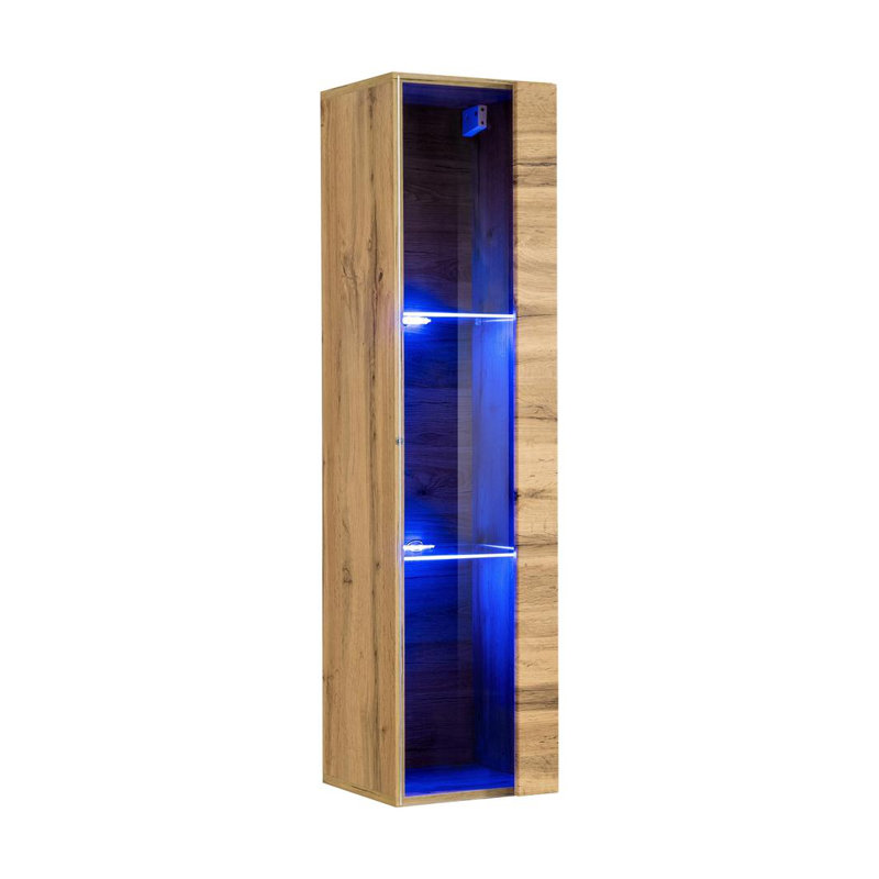 Cabinet/Enclosed Storage, Oak
