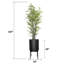 Faux bambou en pot 87,5 po Haney
