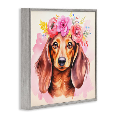 Boho, chien teckel encadré par Andrea Haase