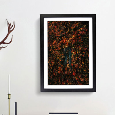 Forest Road in Austria - Framed Print