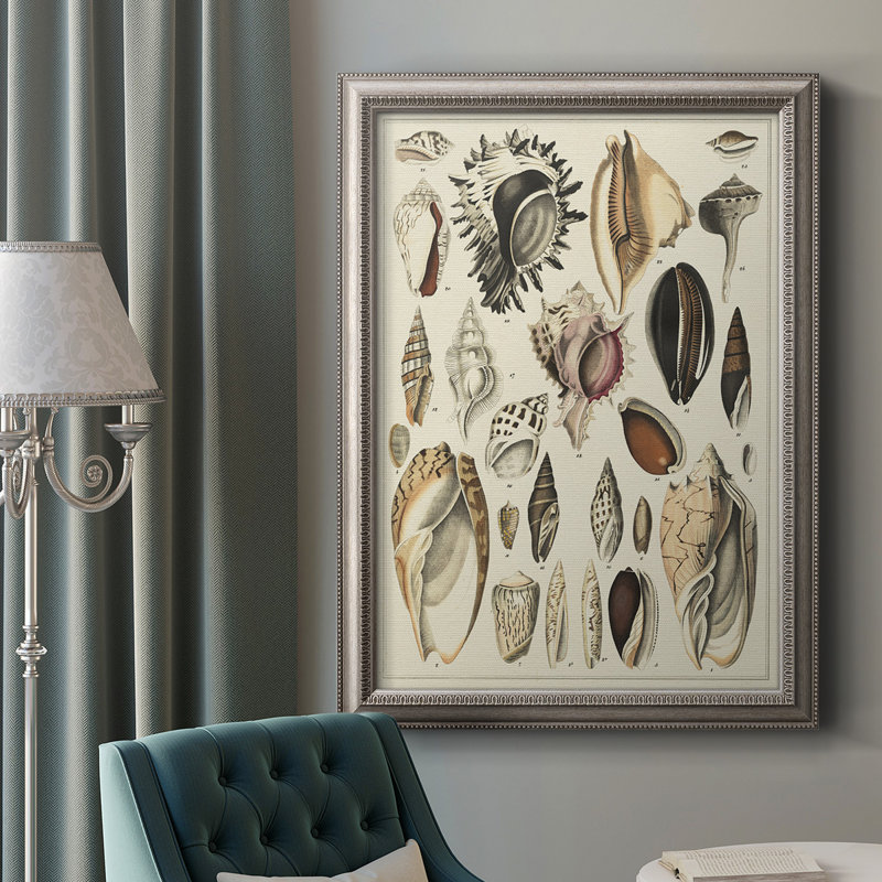 " Seashell Display ", 20" H x 16" W x 2.5" D