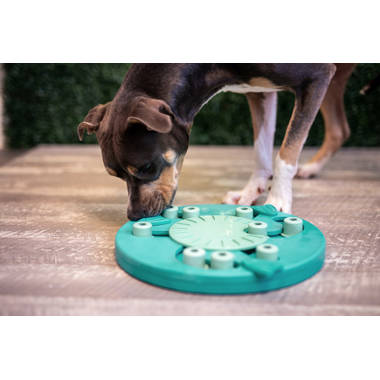 Nina Ottosson by Outward Hound Interactive Treat Puzzle Game Dog Toys Level  2 (Intermediate) Teal,Red, White and Brown