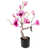 Pink is out of stock selected
