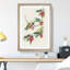 Rathbone Warbler Birds by John Audubon - Picture Frame Painting Print-55602094-55602095