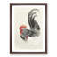 Rooster & Hen by Ohara Koson - Picture Frame Graphic Art Print-55610775-55610773