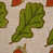 Green selected