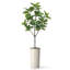 Arbre artificiel avec pot à fleurs en forme de faux drapeau Magnolia (pot en pot et arbre)-104347630