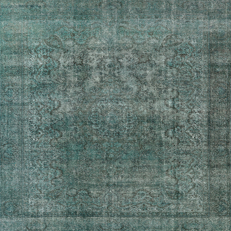 Hudak Oriental Indoor Rug, Square 6'