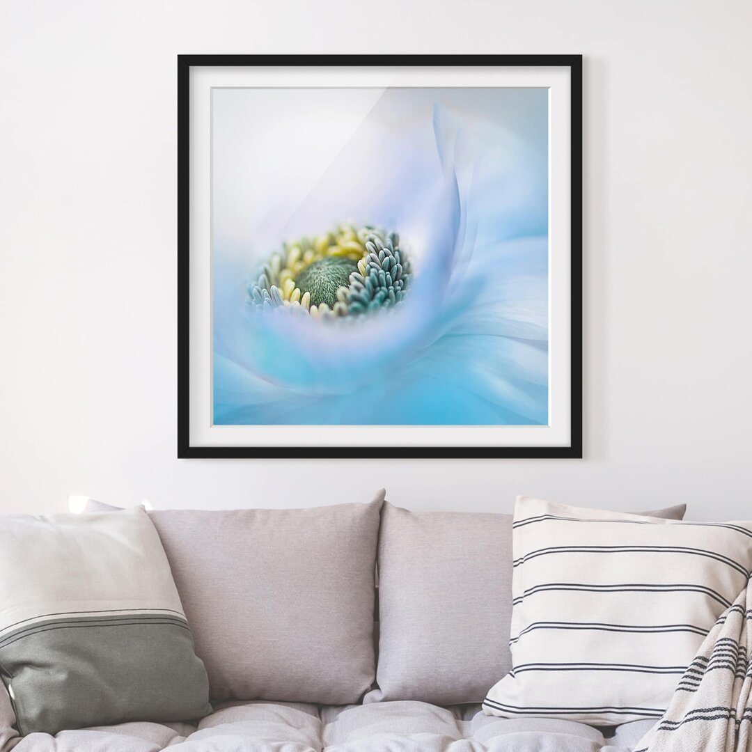 Gerahmtes Poster Anemone auf dem Fluss