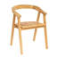 Mendy Outdoor Teak Dining Armchair