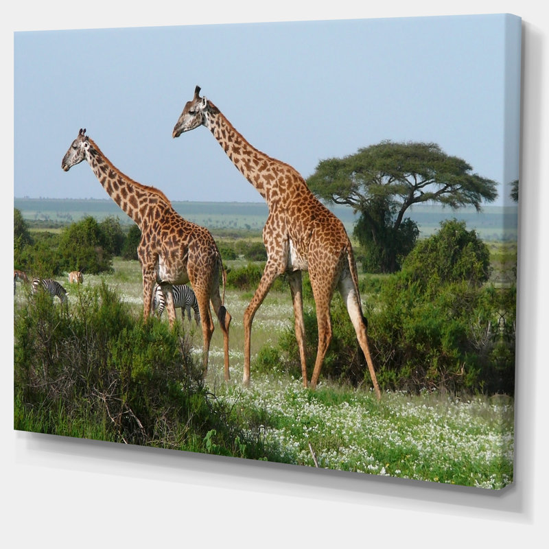 Deux girafes dans la savane africaine - reproduction de photo sur toile tendue, H 20 po x l 20 po x P 1 po