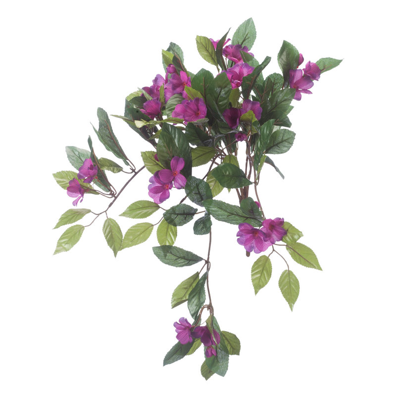 OakRidge Impatiens Hanging Stem, Purple