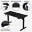 Larreon Electric Height Adjustable Standing Desk