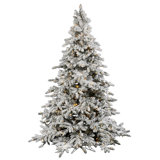 Lighted Fir Christmas Tree