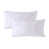 Blanc est en rupture de stock