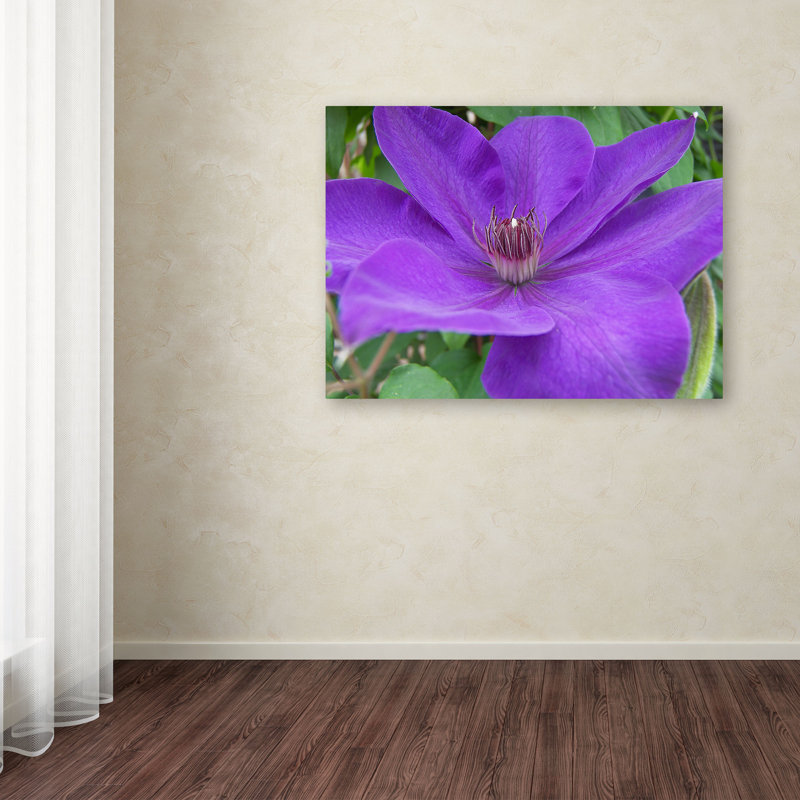 Large Purple Flower Canvas Art by Monica Fleet