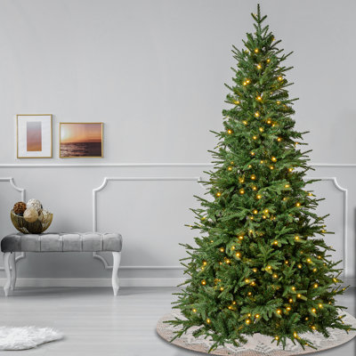 Arbre vert clair Duxbury