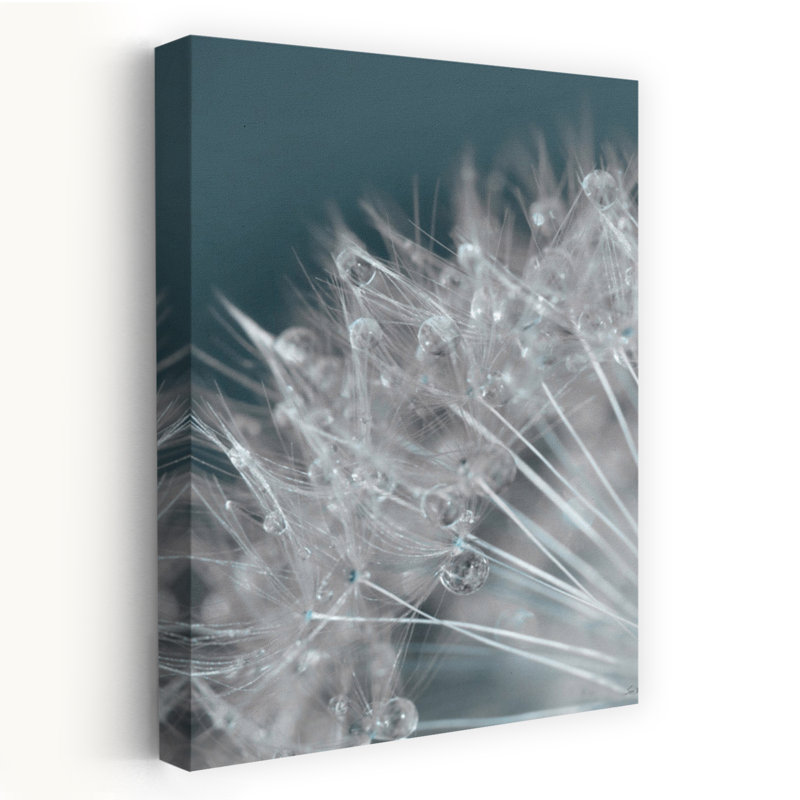«Droplet In Time III» - art contemporain de gouttelettes d'eau de pissenlit contemporain, H 16 po x l 24 po