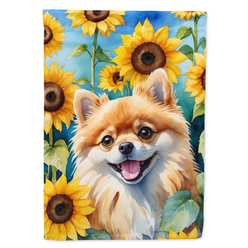 Drapeau de la maison du tournesol Malamute d'Alaska, Loulou de Poméranie