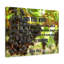 «I Am The Vine John 15: 5 Christian Wall Art Bible», impression de verset prêt à être accroché-1360552084