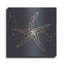 «Gold Starfish II» par Chris Paschke-1654213852