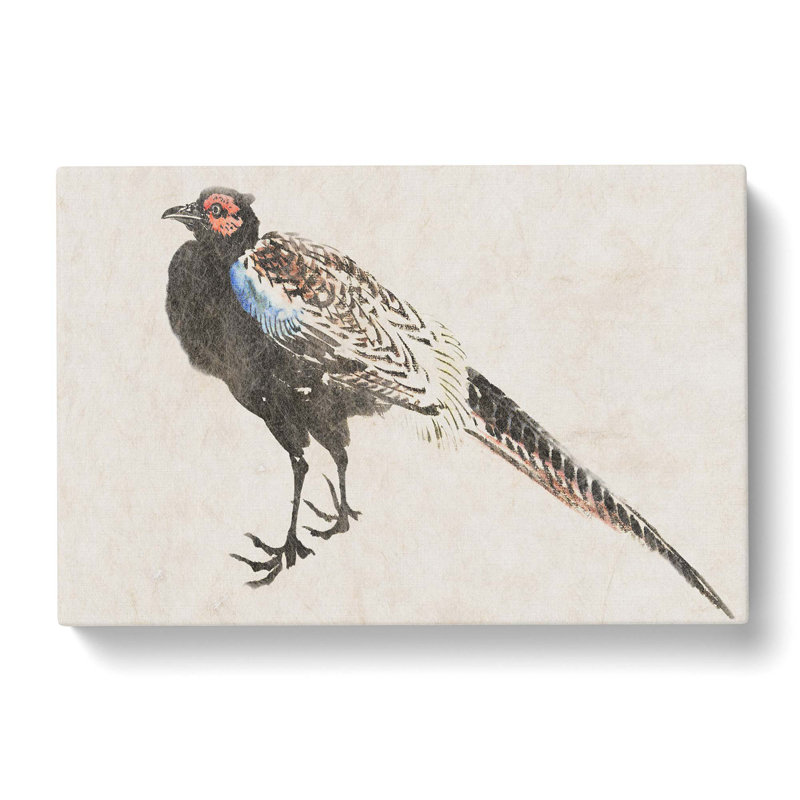 Pheasant by Kawanabe Kyosai - Wrapped Canvas, 50cm H x 76cm W x 3cm D
