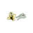 Keyed Alike Lock