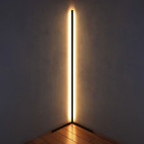 Aivy 57'' LED Novelty Floor Lamp
