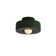 Blayke Minimalist Resin Flush Mount Close to Ceiling Lighting Fixture