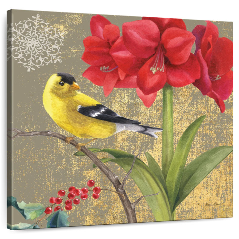 Brampt Winter Birds Goldfinch