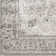 Kucera Oriental Indoor Rug