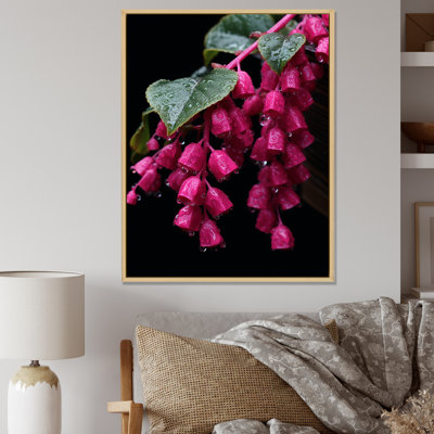 Pink Garden Hummingbird Fuchsia Flower I - Fuschia Wall Art