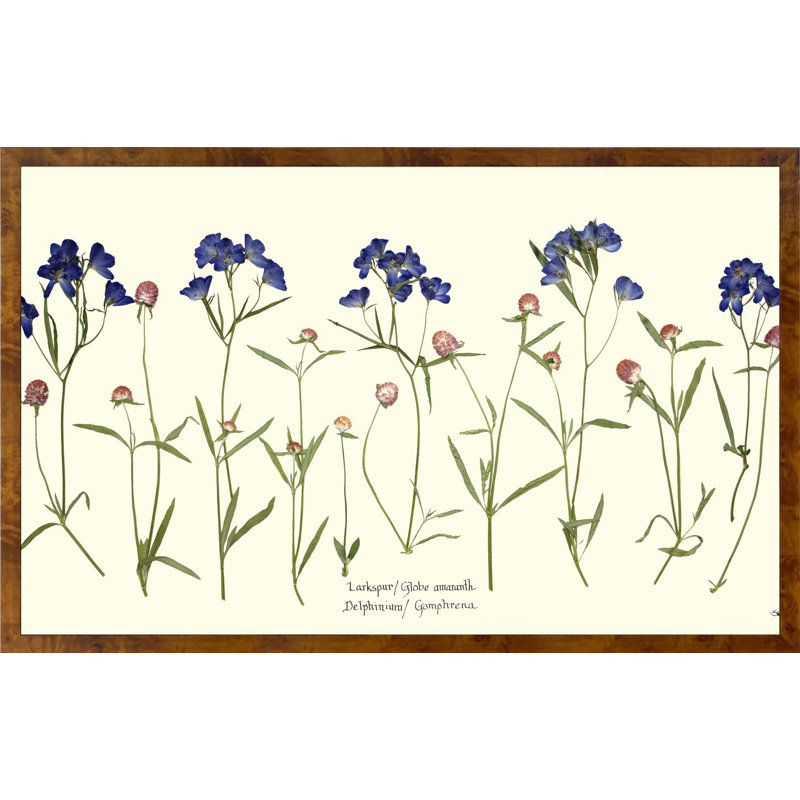 Plants & Flowers Print