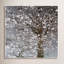 Infrared Cherry Blossoms Framed Photographic Print