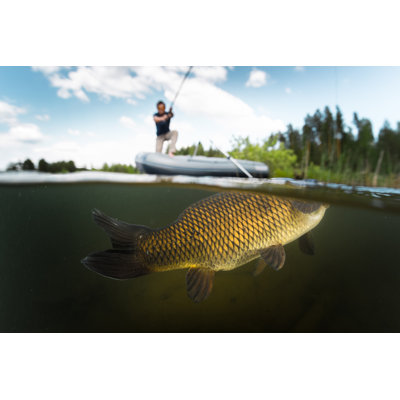 Carp Fishing by Mihtiander - Wrapped Canvas Print