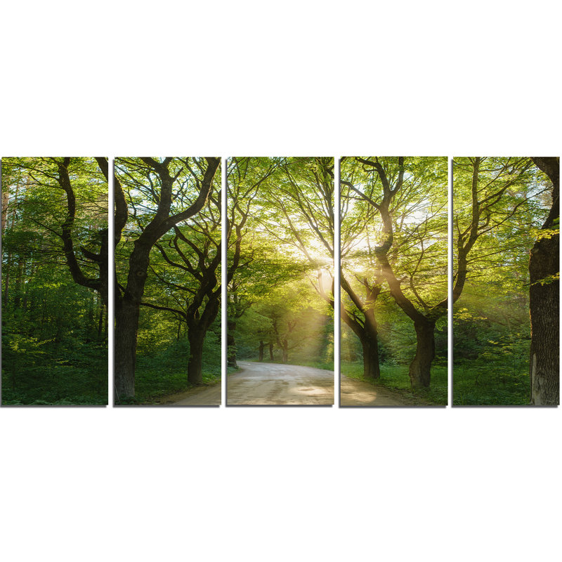Evening Green Forest Landscape Canvas Art Print, 60"x28"