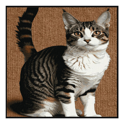  Tapis lavable Oregon Rex