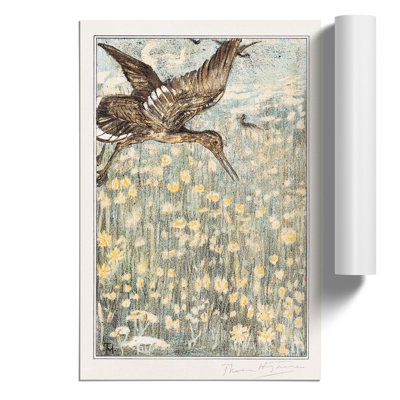 Tureluur Bird - No Frame Print