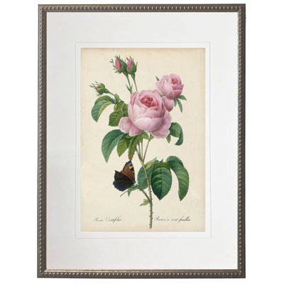 Imprimé rose rétro vintage mat dans un cadre en étain perlé mesurant 16 x 20