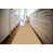 Medium Beige