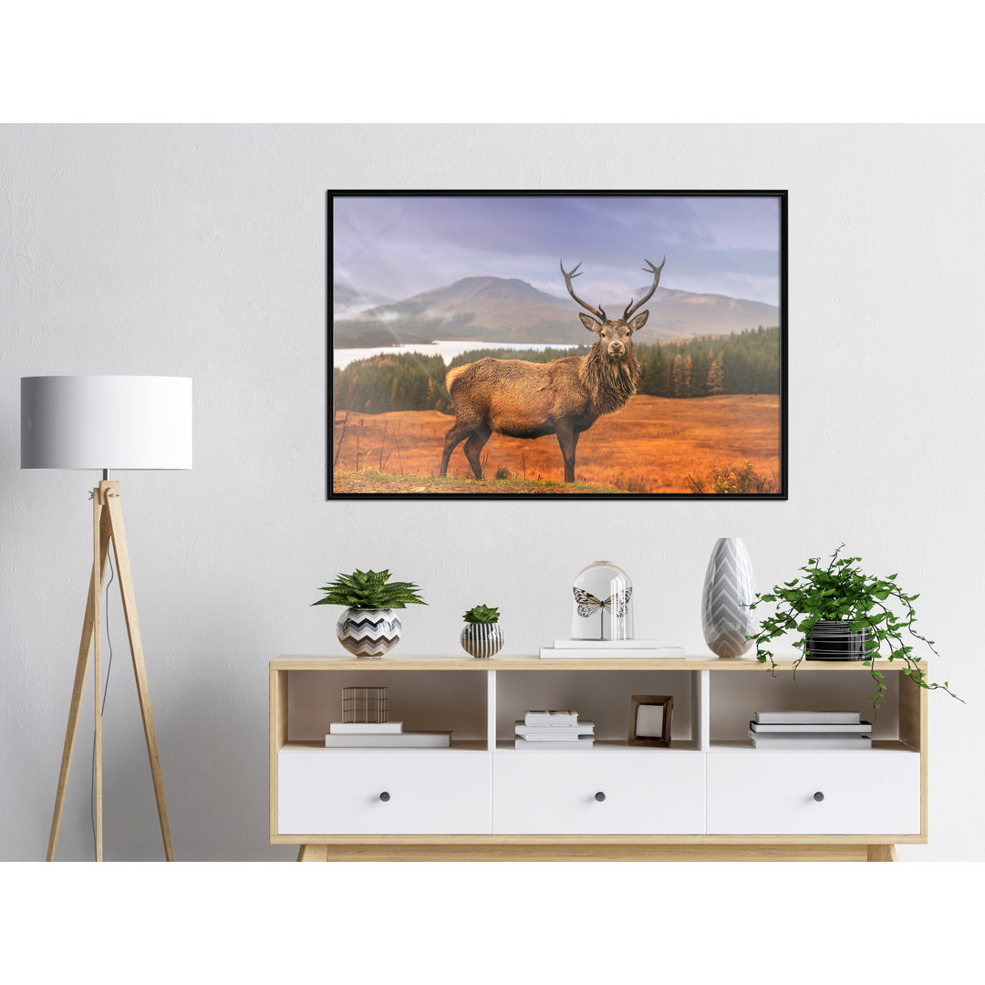 Gerahmter Fotodruck Majestic Deer